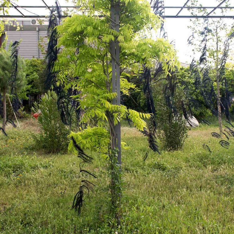 garden-40